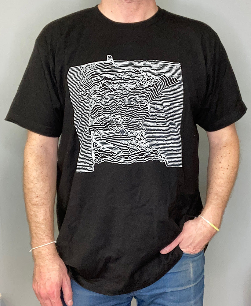 burlesque gather shirt 黒白 Gothic Burlesque Pinup In Fishnets T-shirt | Goth Punk Rockabilly