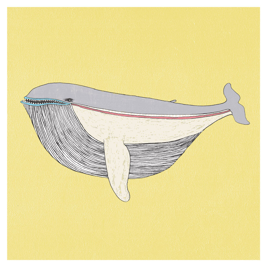 Jennifer Davis: Whale