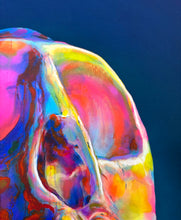 Wes Winship: Vervet Monkey Skull giclée print