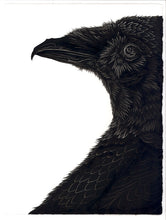 Thomas Hooper: Raven 8