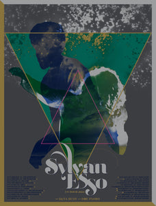 Sylvan Esso: Summer 2014 tour print